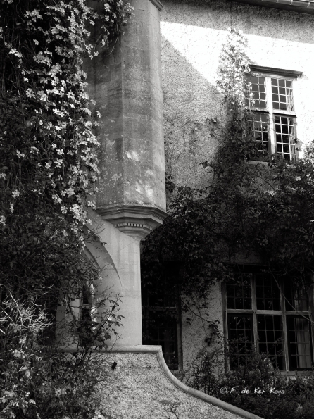 Bois des Moutiers (157) Mai 2012